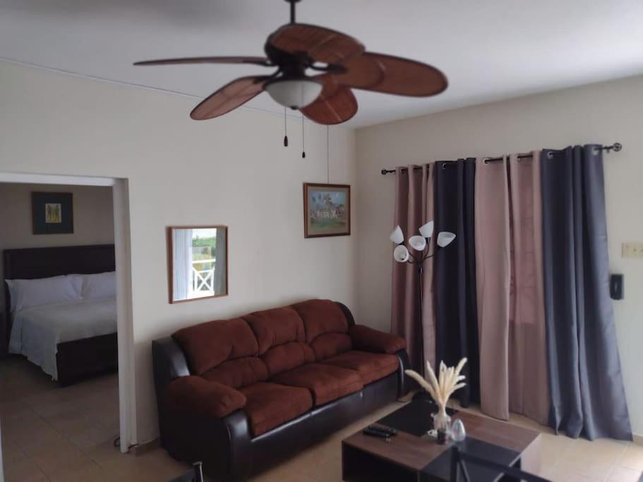 Club Caribbean Apartments Ранэвей-Бей Экстерьер фото